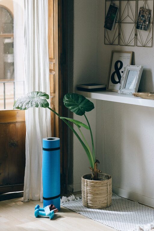 How to Refresh Your Home with Plants: Simple Tips for a Greener Space